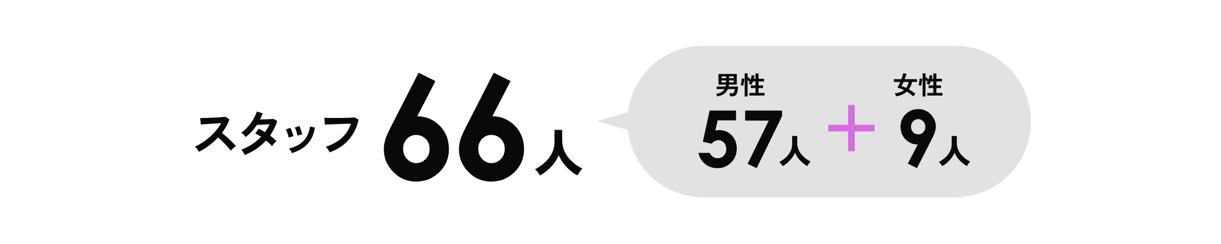 スタッフ66人　男性57人＋女性9人